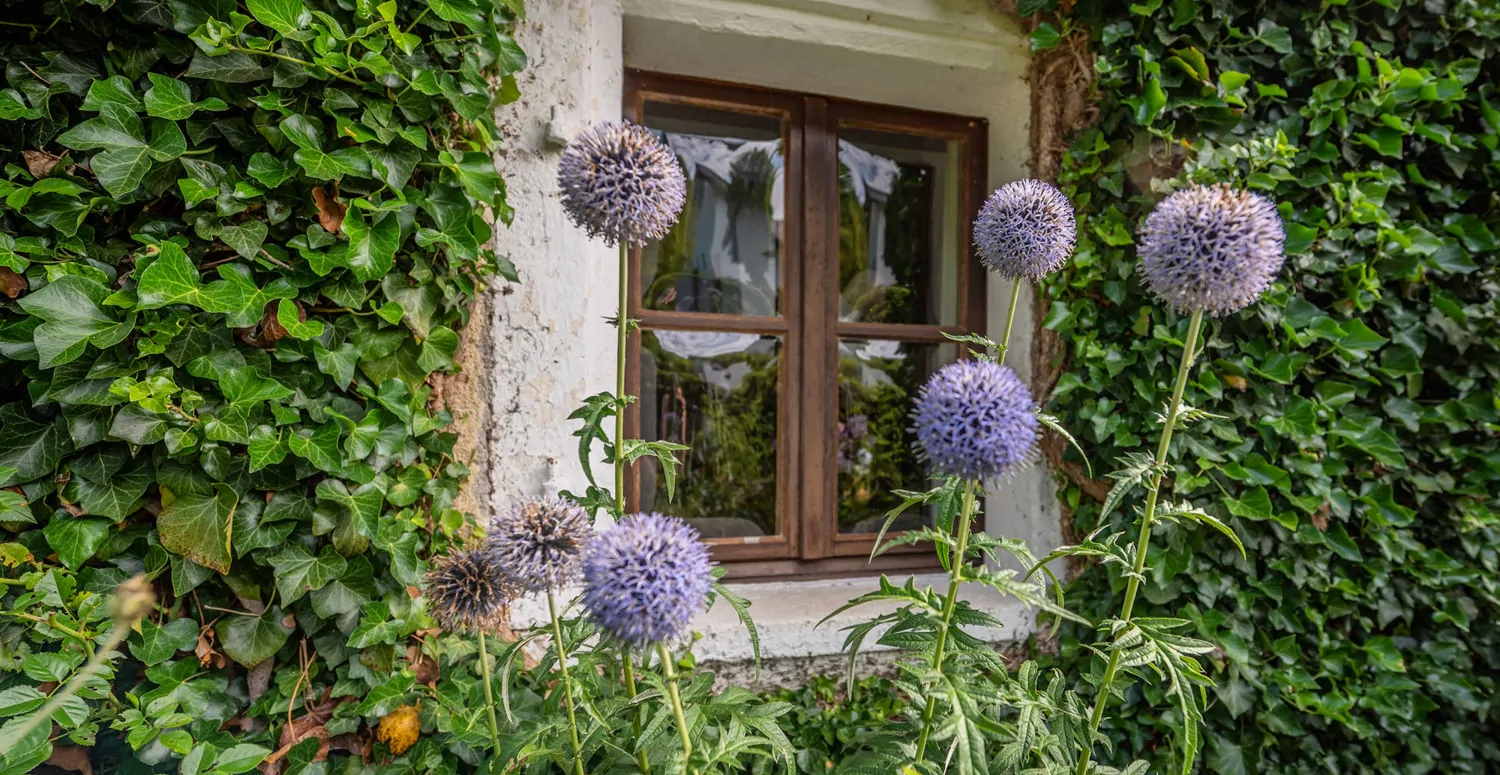 Denkmalgeschütztes Wohnhaus aus dem 18. Jahrhundert, ehemaliges Mühlengebäude in idyllischem Garten