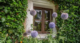 von_poll_real_estate_property_25345023_image_47