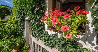 von_poll_real_estate_property_25345023_image_46