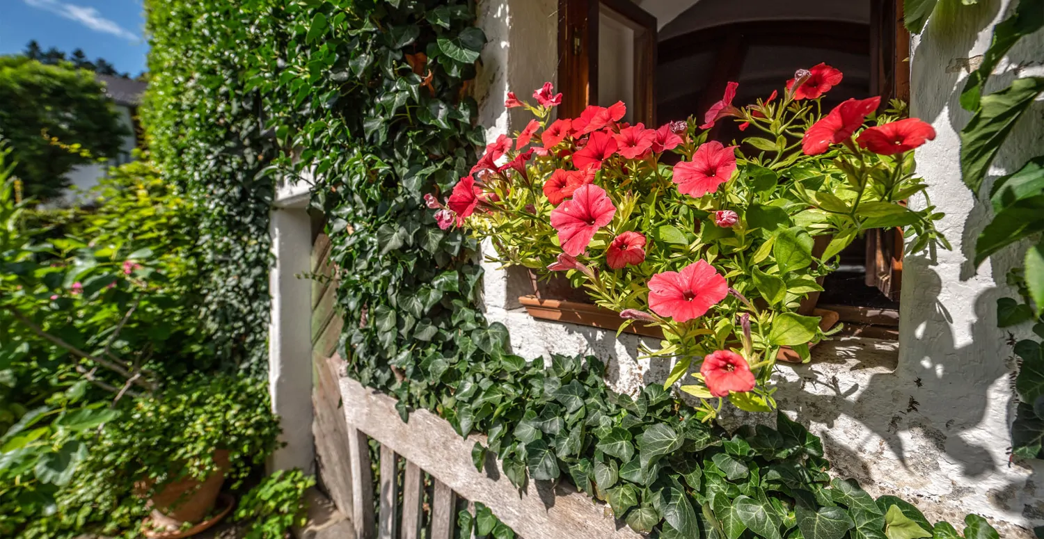 Denkmalgeschütztes Wohnhaus aus dem 18. Jahrhundert, ehemaliges Mühlengebäude in idyllischem Garten