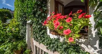 von_poll_real_estate_property_25345023_image_45