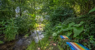 von_poll_real_estate_property_25345023_image_60