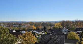 von_poll_real_estate_property_25345033_image_6