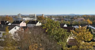 von_poll_real_estate_property_25345033_image_7