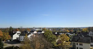 von_poll_real_estate_property_25345033_image_4