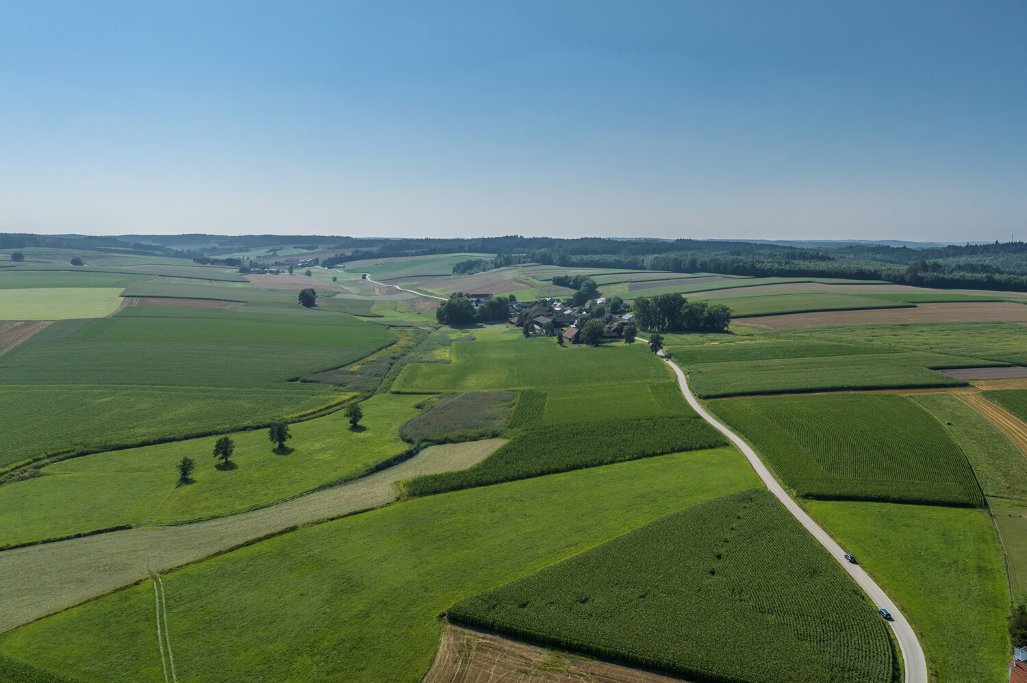 Landwirtschaftliche Acker- und Wiesenflächen