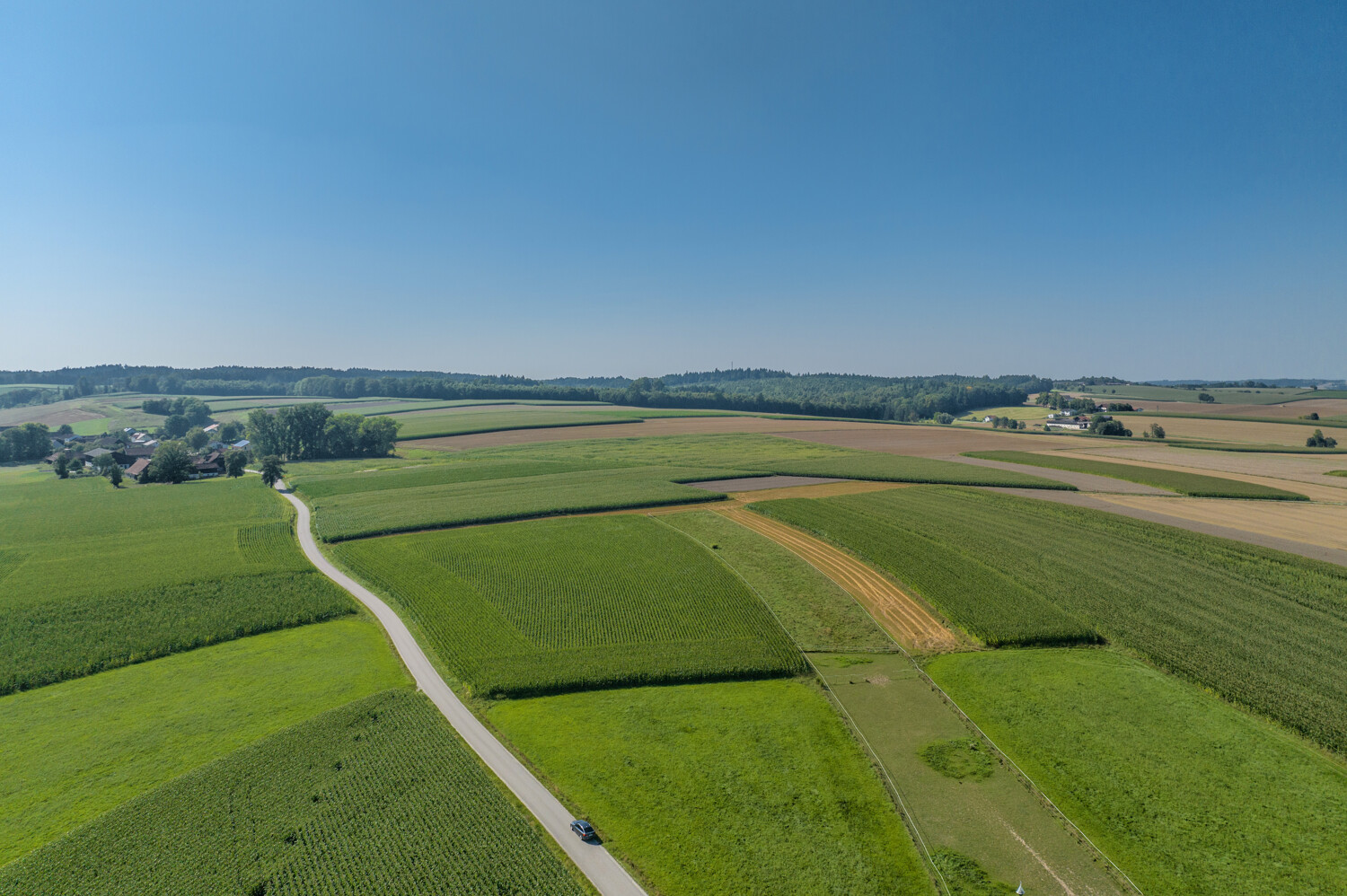 Landwirtschaftliche Acker- und Wiesenflächen