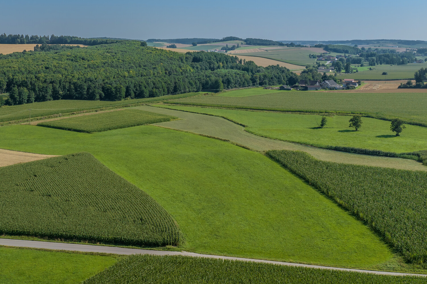 Landwirtschaftliche Acker- und Wiesenflächen