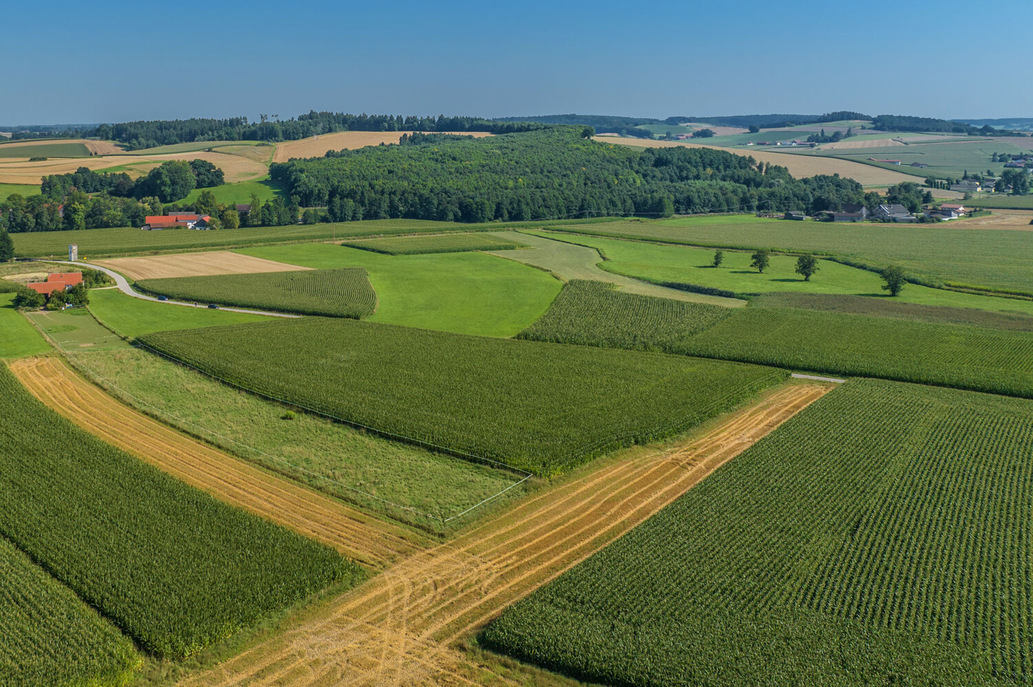 Landwirtschaftliche Acker- und Wiesenflächen