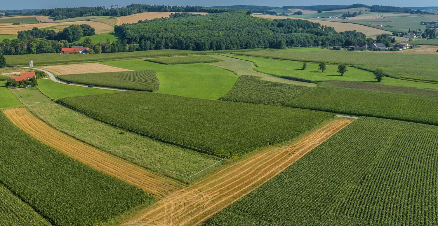 Landwirtschaftliche Acker- und Wiesenflächen