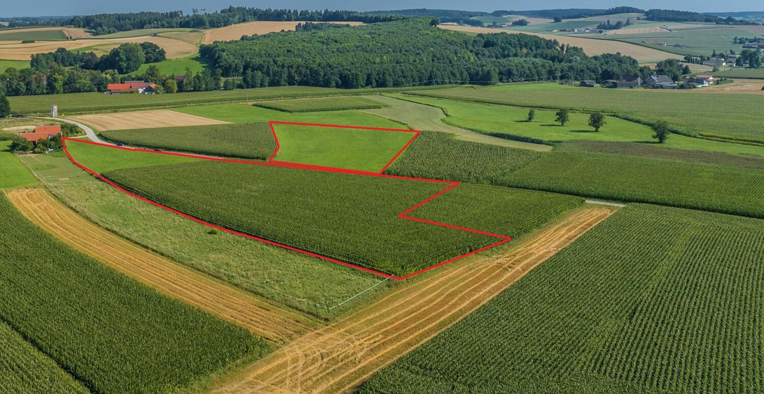 Grundstücke rot markiert