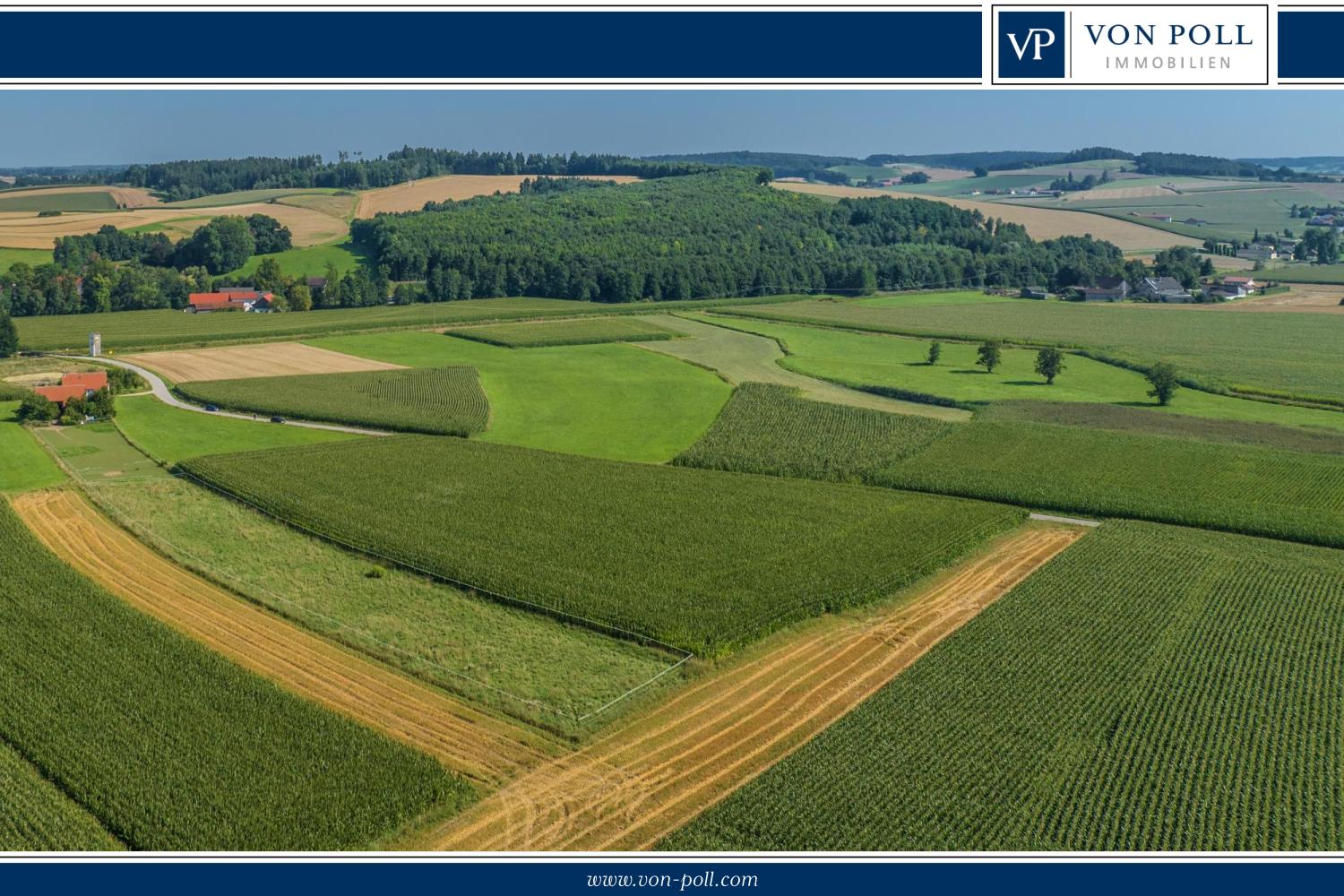 Landwirtschaftliche Acker- und Wiesenflächen