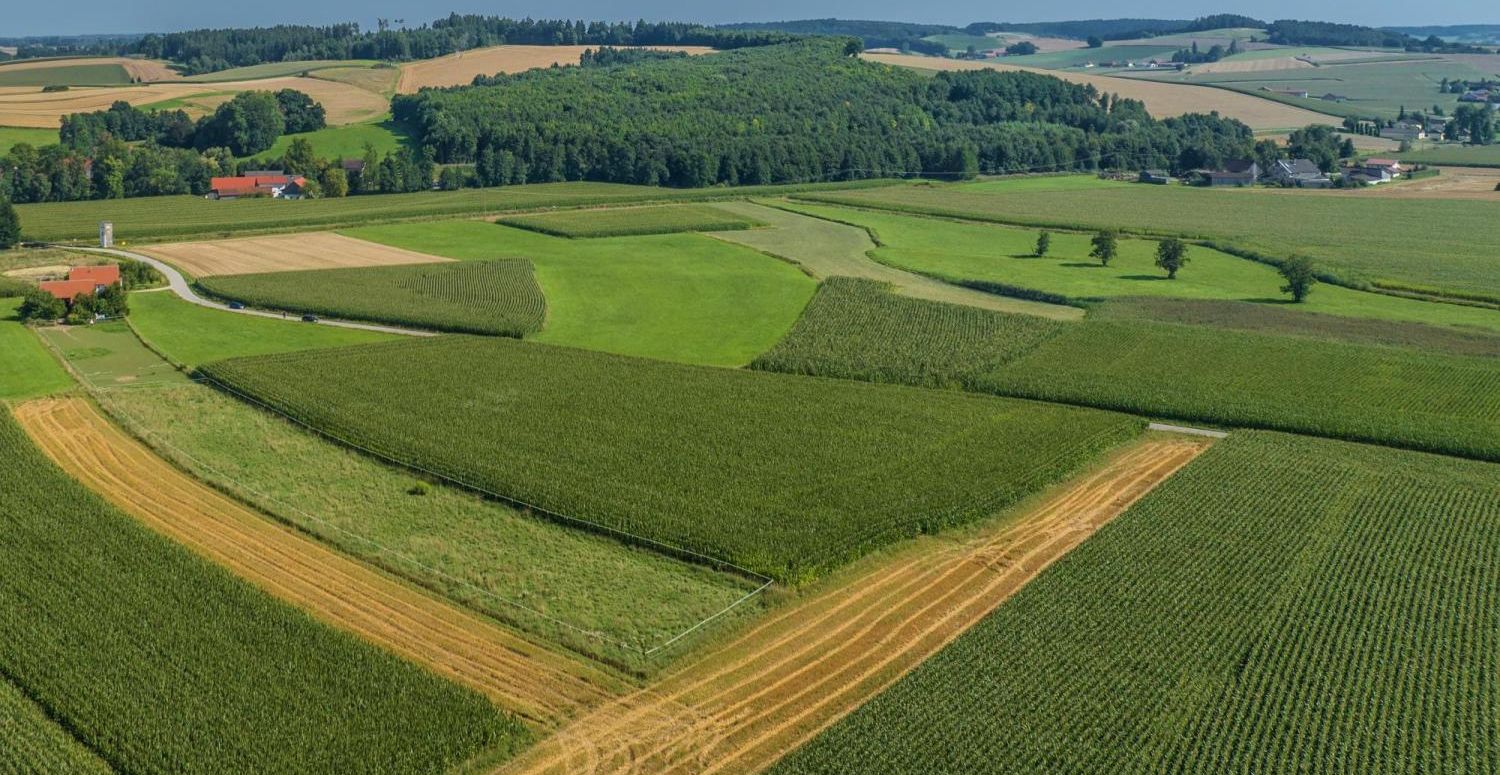 Landwirtschaftliche Acker- und Wiesenflächen