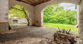 von_poll_real_estate_property_25345029_image_61