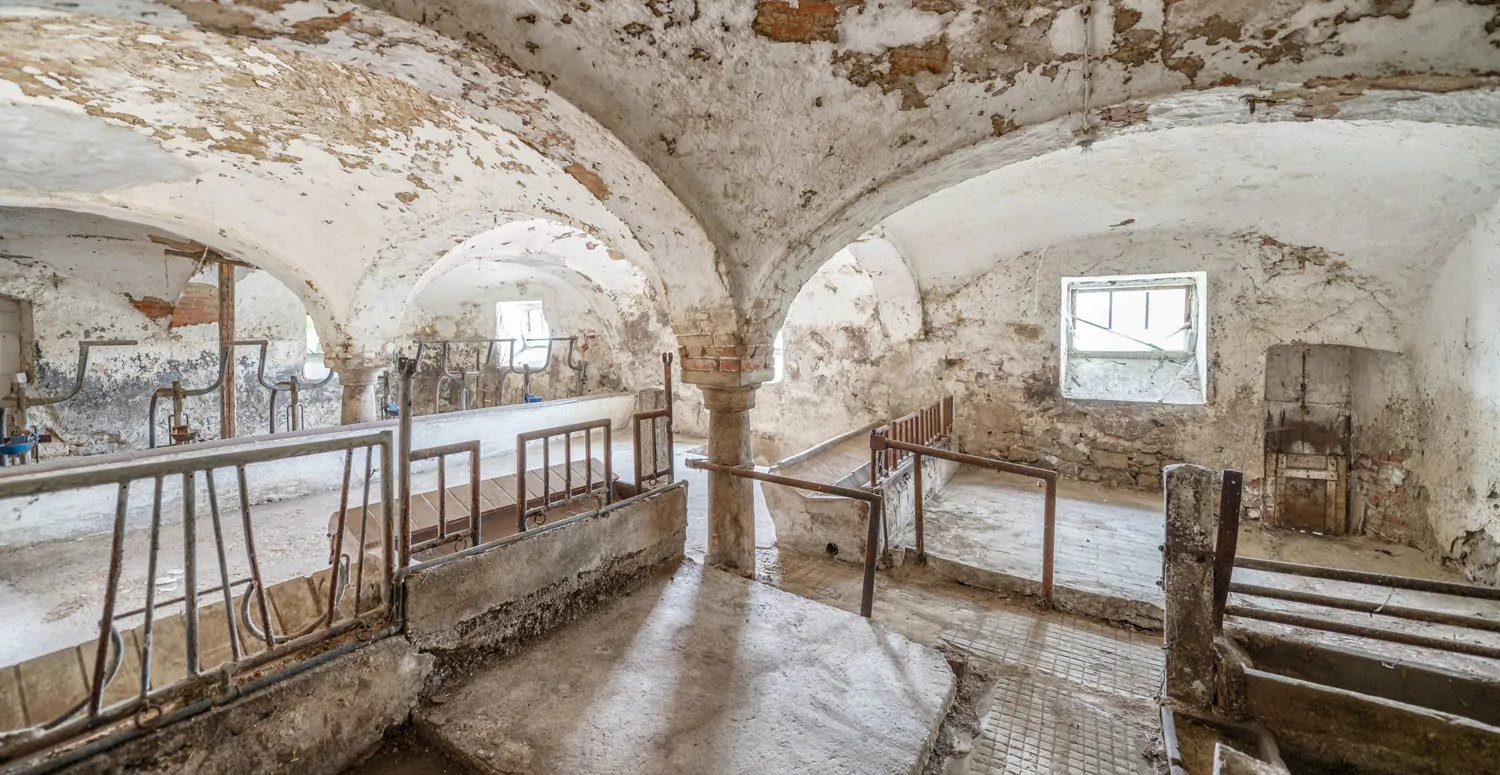 Gebäude-Ensemble-Denkmalschutz
Großes eingewachsenes Grundstück- 
Lassen Sie Ihren Ideen freien Lauf