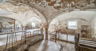 von_poll_real_estate_property_25345029_image_62