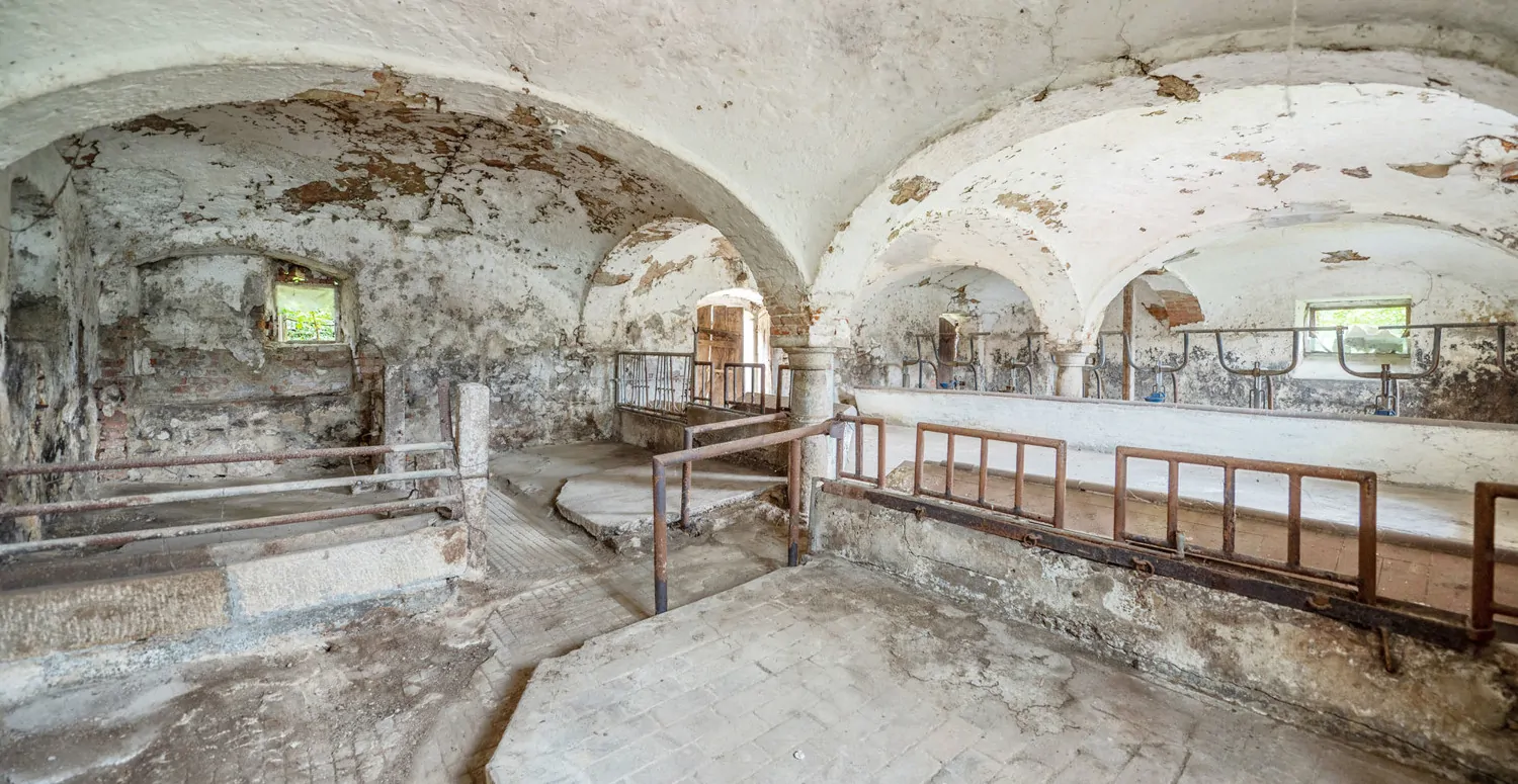 Gebäude-Ensemble-Denkmalschutz
Großes eingewachsenes Grundstück- 
Lassen Sie Ihren Ideen freien Lauf