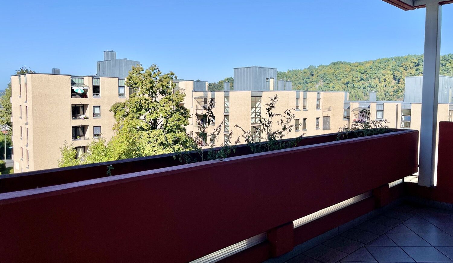 Schöne 3 Zi.-Whg. mit TG-Stellplatz und West-Loggia