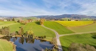 von_poll_real_estate_property_25166045_image_16