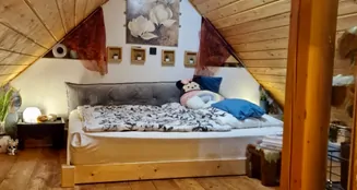 von_poll_real_estate_property_25166048_image_6