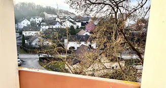 von_poll_real_estate_property_25166046_image_5