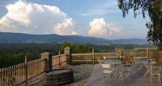 von_poll_real_estate_property_26166001_image_5