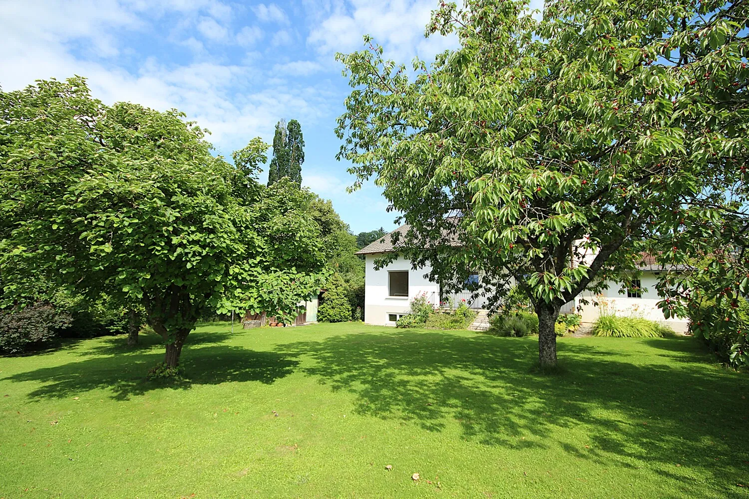 Großzügiges Einfamilienhaus mit großem Garten