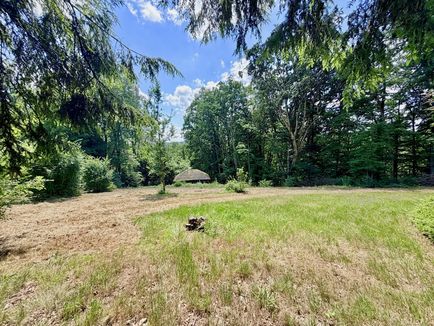 3.000 m² in Bestlage PA-Hacklberg | Seltenes Bau-Grundstück mit Entwicklungspotenzial