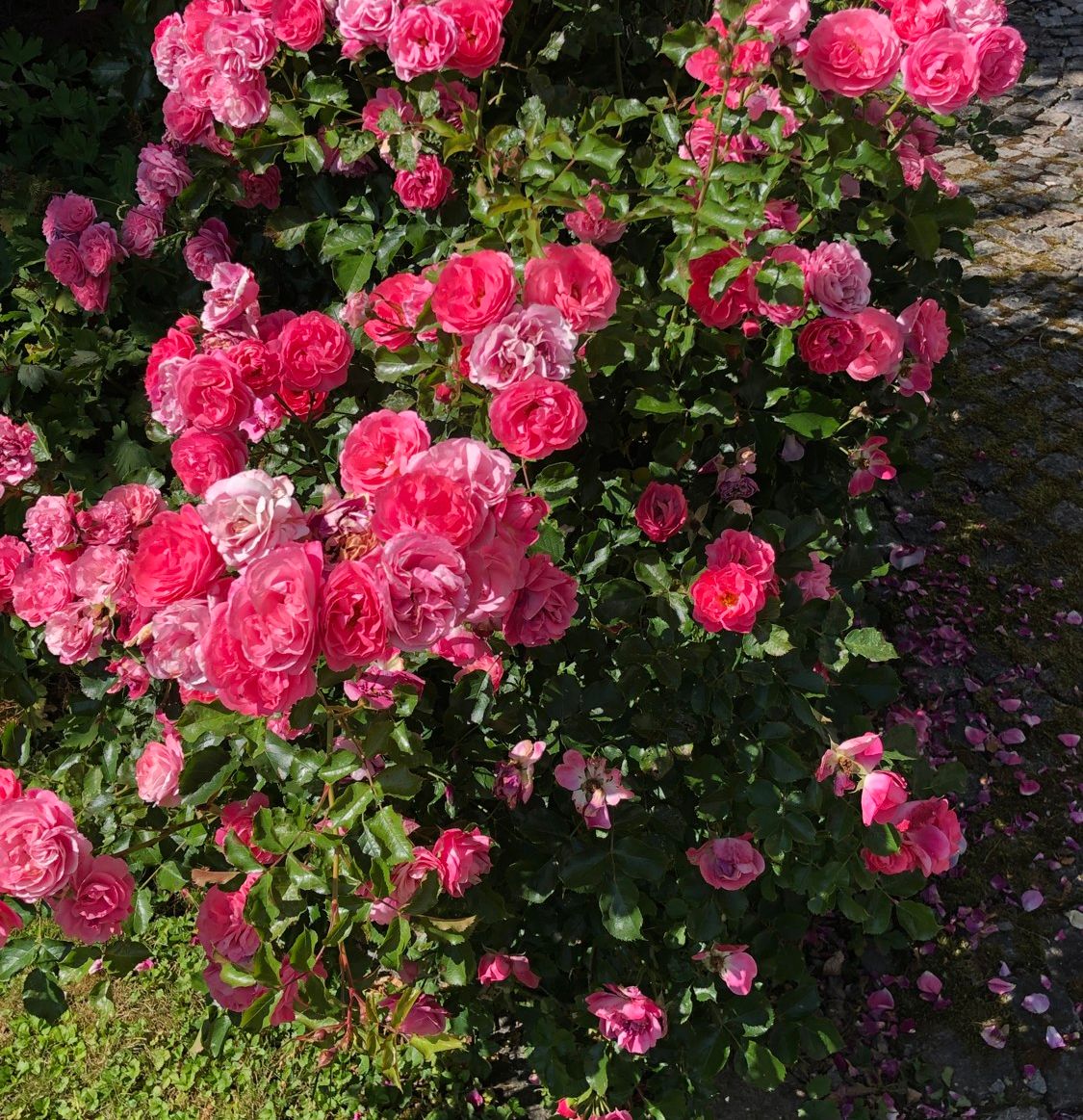 Charmantes Einfamilienhaus mit großem Garten und viel Potenzial