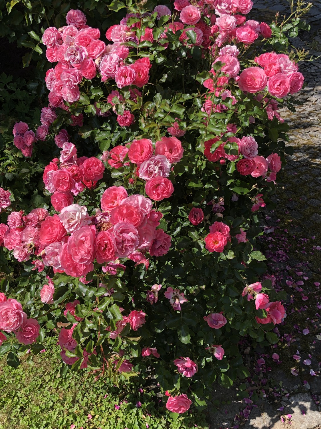 Charmantes Einfamilienhaus mit großem Garten und viel Potenzial