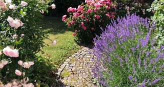 von_poll_real_estate_property_25345013_image_9
