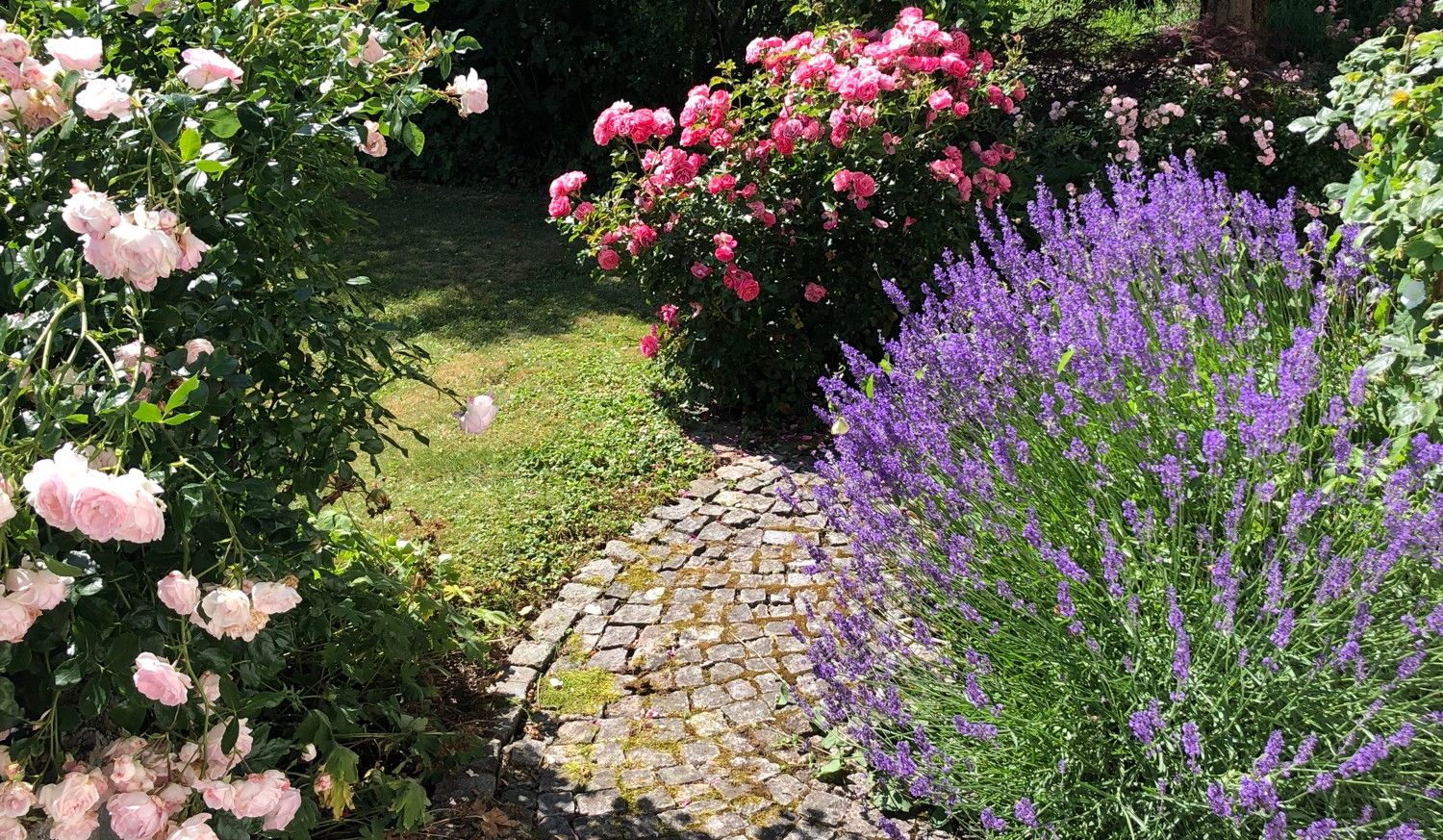 Charmantes Einfamilienhaus mit großem Garten und viel Potenzial