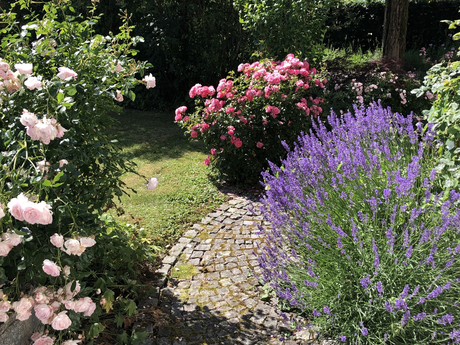 Charmantes Einfamilienhaus mit großem Garten und viel Potenzial