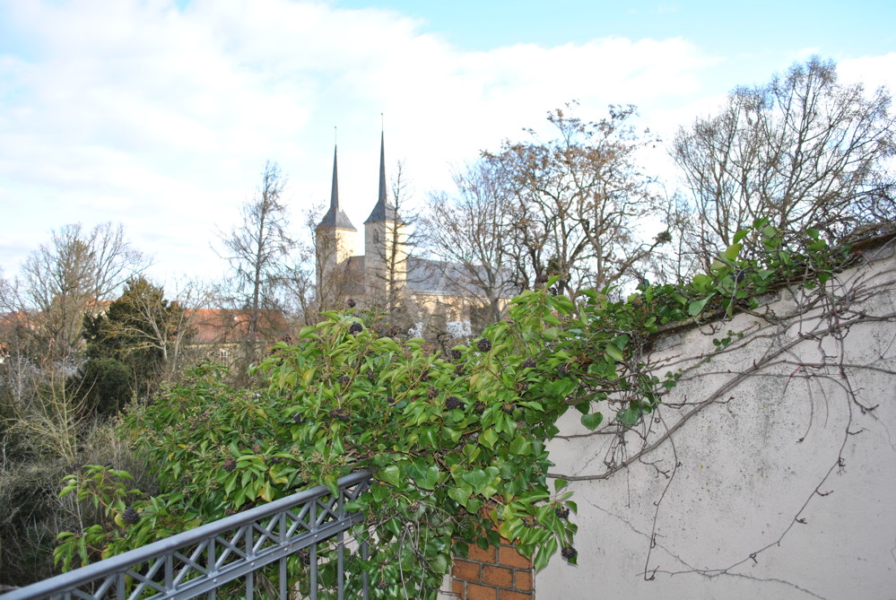 Blick von der Terrasse auf die Stadt Naumburg