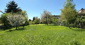 von_poll_real_estate_property_25077011_image_10