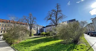 von_poll_real_estate_property_23077016_1_image_0