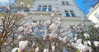 von_poll_real_estate_property_24077043_image_7