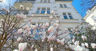 von_poll_real_estate_property_24077043_image_7