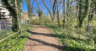 von_poll_real_estate_property_24077043_image_9