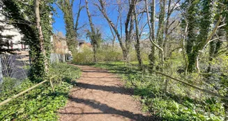 von_poll_real_estate_property_24077043_image_9