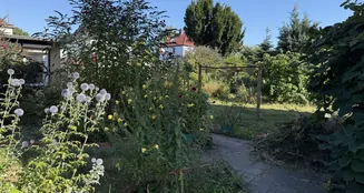 von_poll_real_estate_property_25474011_image_8