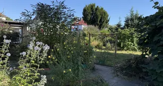 von_poll_real_estate_property_25474011_image_8