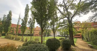 von_poll_real_estate_property_25077019_image_4