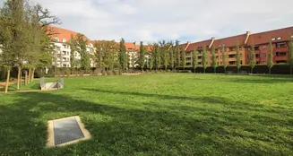 von_poll_real_estate_property_25077019_image_5