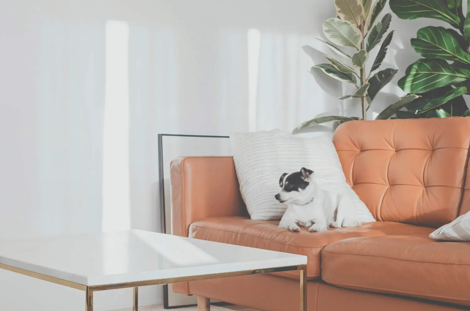 Einrichtungsbeispiel 1