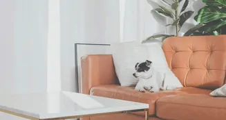 von_poll_real_estate_property_25474006_image_8