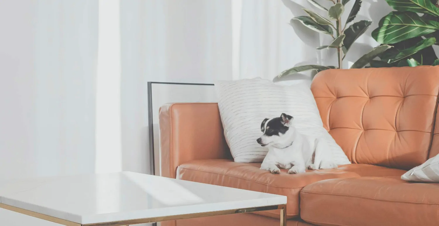 Einrichtungsbeispiel 1