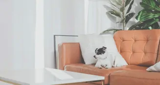 von_poll_real_estate_property_25474006_image_8