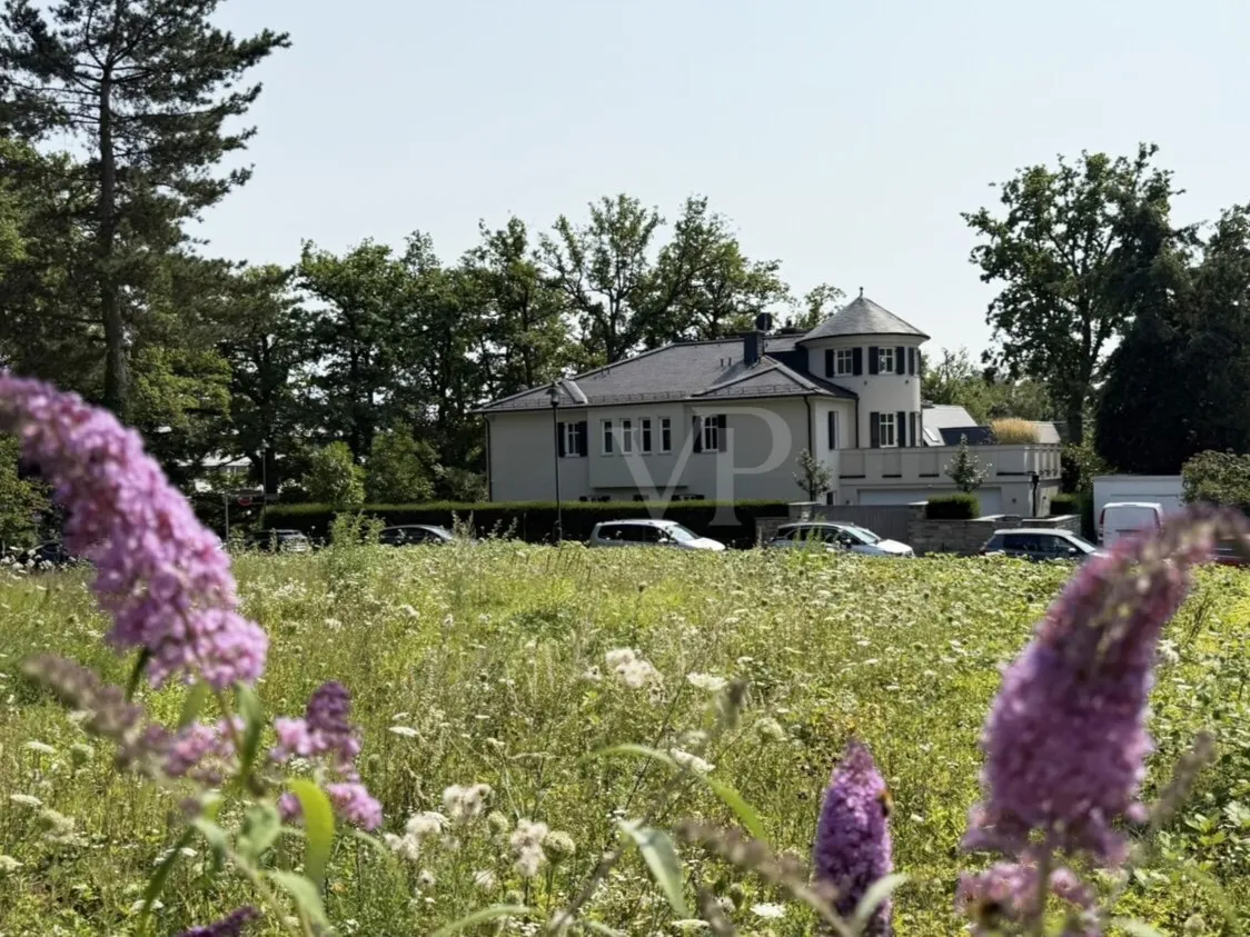 Blick über das Grundstück_2