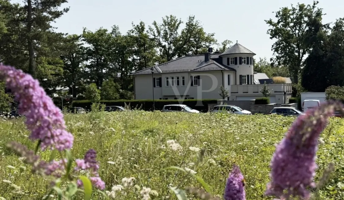 Blick über das Grundstück_2